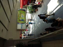 Lucky Plaza (D9), Shop House #455391821